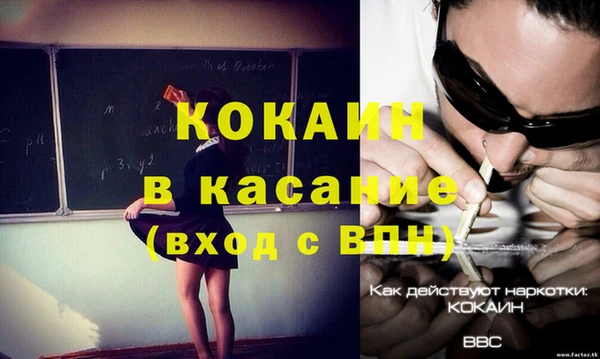 прущие грибы Тихорецк